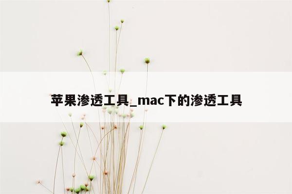 苹果渗透工具_mac下的渗透工具