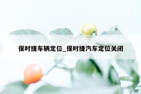 保时捷车辆定位_保时捷汽车定位关闭