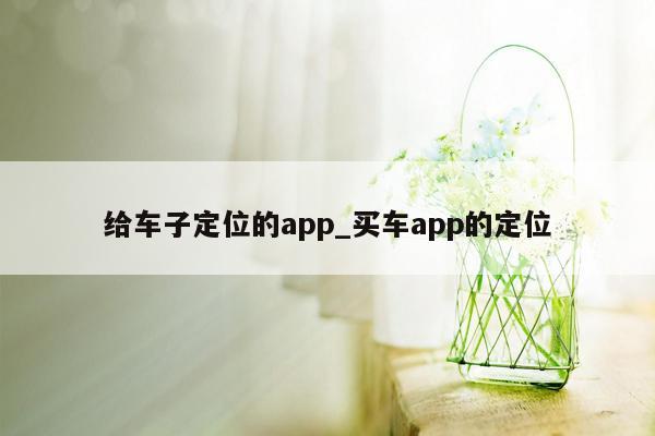 给车子定位的app_买车app的定位