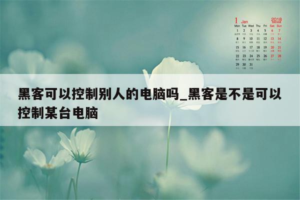 黑客可以控制别人的电脑吗_黑客是不是可以控制某台电脑