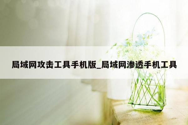 局域网攻击工具手机版_局域网渗透手机工具