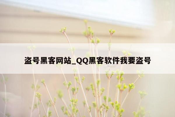 盗号黑客网站_QQ黑客软件我要盗号