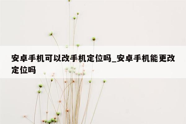 安卓手机可以改手机定位吗_安卓手机能更改定位吗