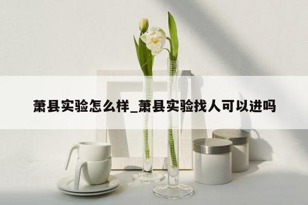 萧县实验怎么样_萧县实验找人可以进吗