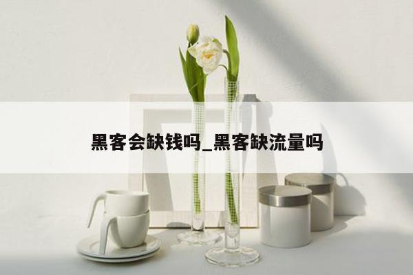 黑客会缺钱吗_黑客缺流量吗