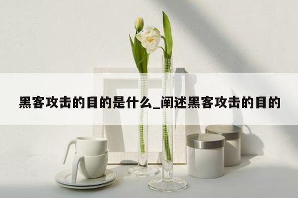 黑客攻击的目的是什么_阐述黑客攻击的目的