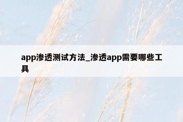 app渗透测试方法_渗透app需要哪些工具