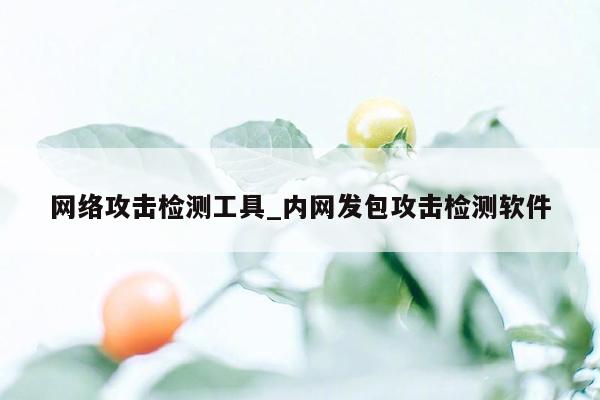 网络攻击检测工具_内网发包攻击检测软件