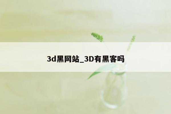 3d黑网站_3D有黑客吗