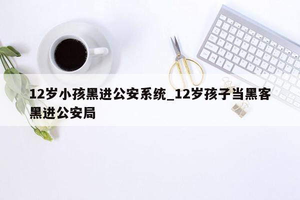 12岁小孩黑进公安系统_12岁孩子当黑客黑进公安局