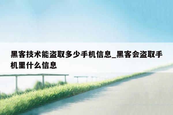 黑客技术能盗取多少手机信息_黑客会盗取手机里什么信息