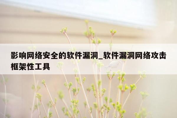 影响网络安全的软件漏洞_软件漏洞网络攻击框架性工具