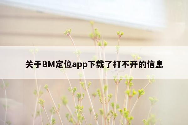 关于BM定位app下载了打不开的信息