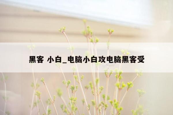 黑客 小白_电脑小白攻电脑黑客受