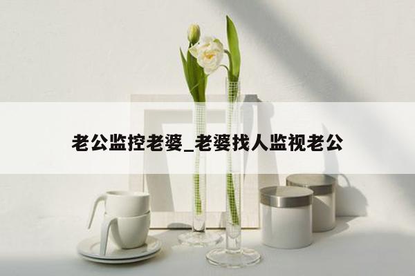 老公监控老婆_老婆找人监视老公