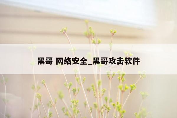 黑哥 网络安全_黑哥攻击软件