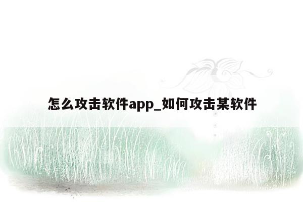 怎么攻击软件app_如何攻击某软件