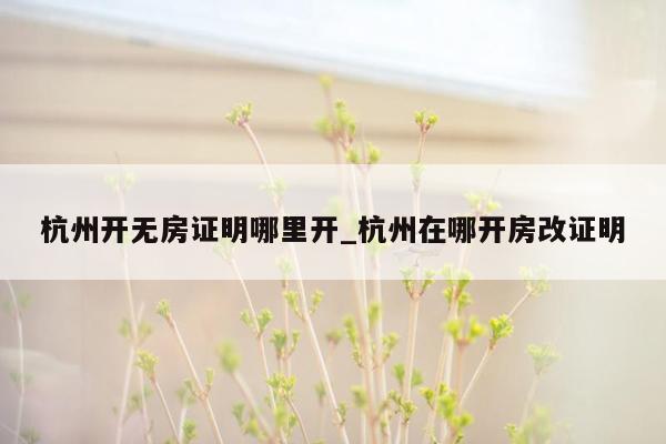 杭州开无房证明哪里开_杭州在哪开房改证明