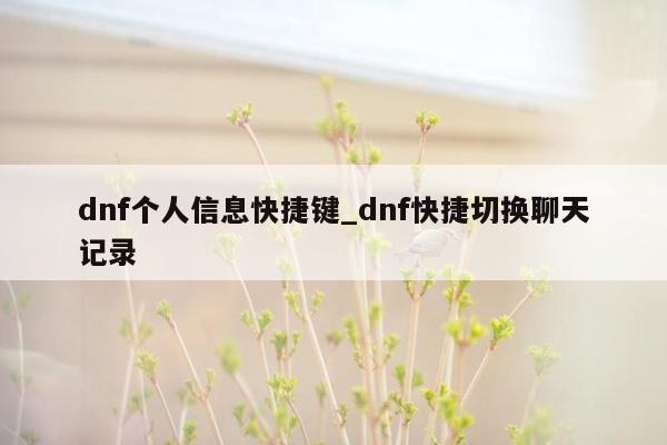 dnf个人信息快捷键_dnf快捷切换聊天记录