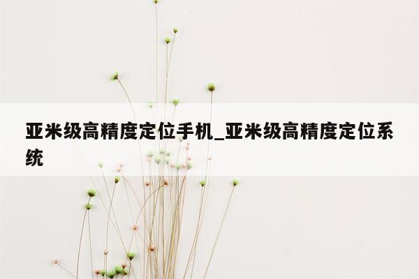 亚米级高精度定位手机_亚米级高精度定位系统