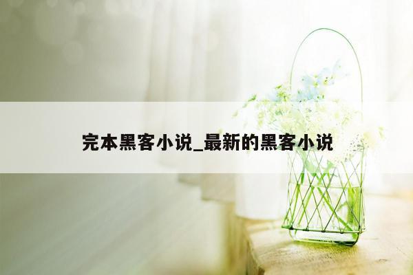 完本黑客小说_最新的黑客小说