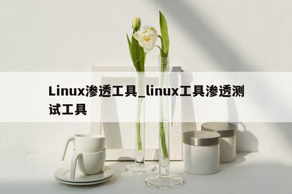 Linux渗透工具_linux工具渗透测试工具