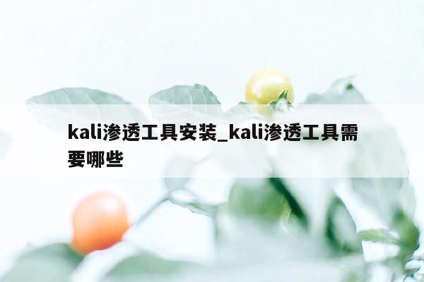 kali渗透工具安装_kali渗透工具需要哪些