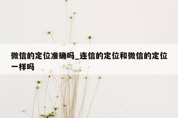 微信的定位准确吗_连信的定位和微信的定位一样吗