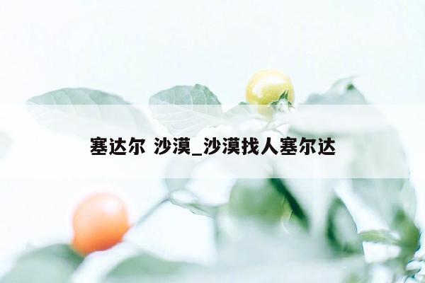 塞达尔 沙漠_沙漠找人塞尔达