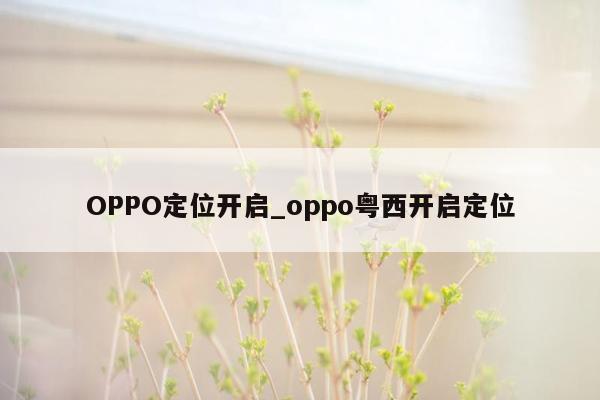 OPPO定位开启_oppo粤西开启定位