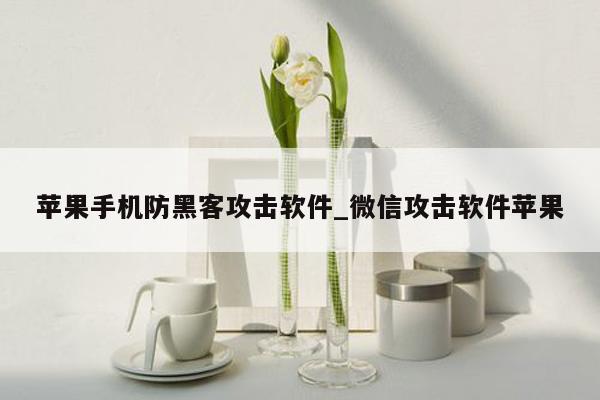 苹果手机防黑客攻击软件_微信攻击软件苹果