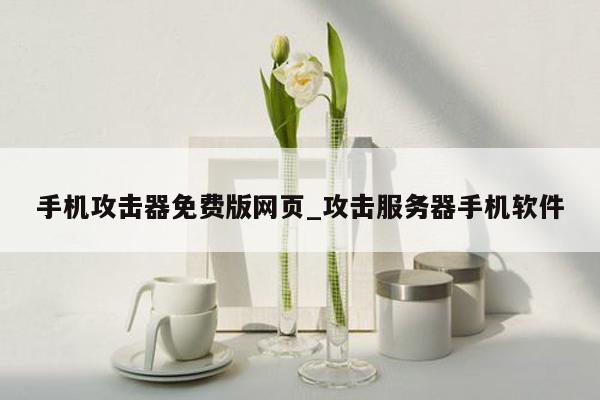 手机攻击器免费版网页_攻击服务器手机软件