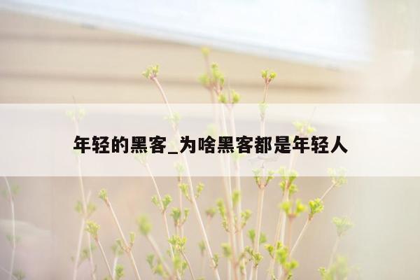 年轻的黑客_为啥黑客都是年轻人