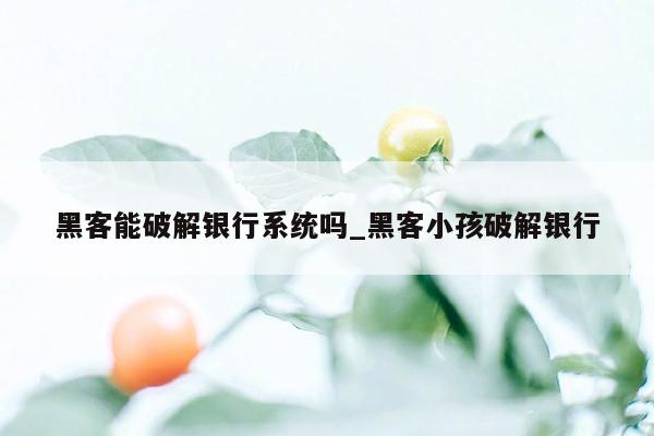 黑客能破解银行系统吗_黑客小孩破解银行