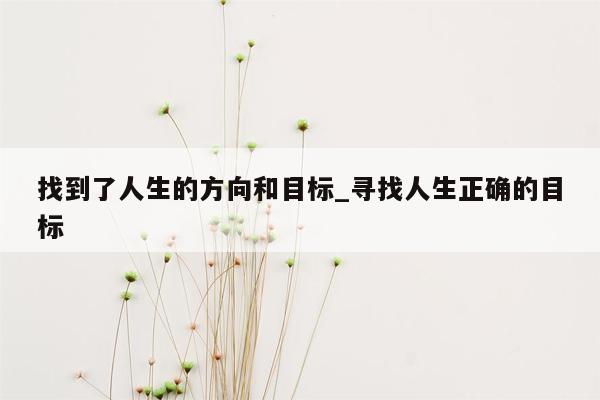 找到了人生的方向和目标_寻找人生正确的目标