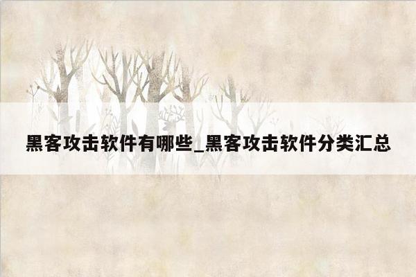 黑客攻击软件有哪些_黑客攻击软件分类汇总