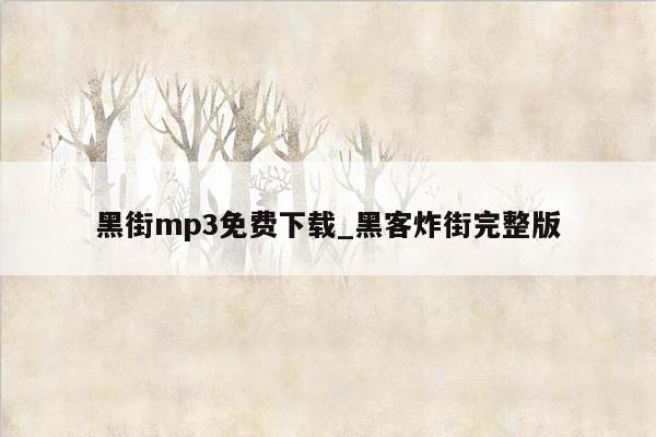 黑街mp3免费下载_黑客炸街完整版