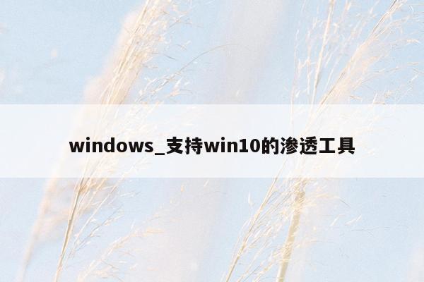 windows_支持win10的渗透工具