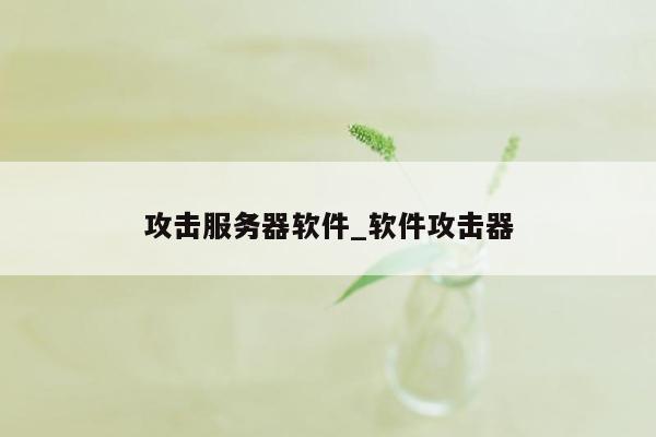 攻击服务器软件_软件攻击器