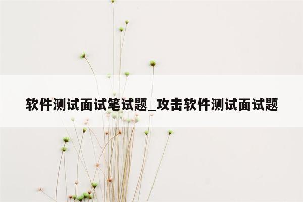 软件测试面试笔试题_攻击软件测试面试题