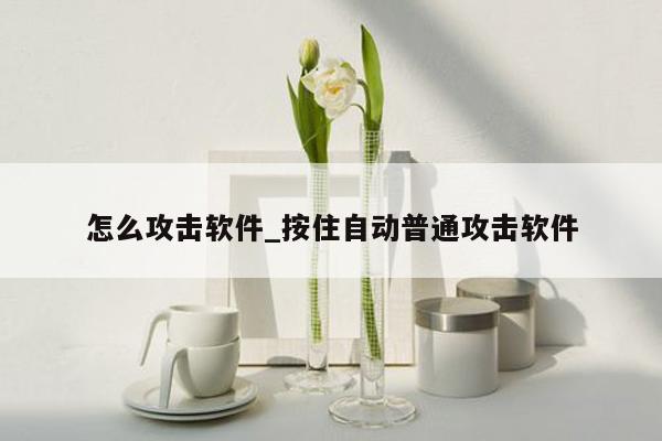 怎么攻击软件_按住自动普通攻击软件