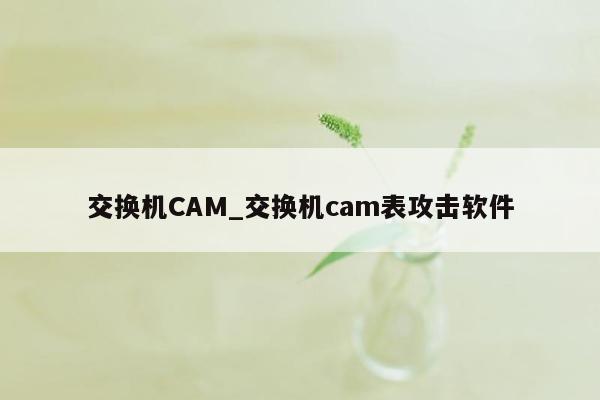 交换机CAM_交换机cam表攻击软件