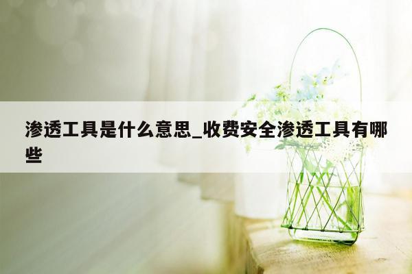 渗透工具是什么意思_收费安全渗透工具有哪些