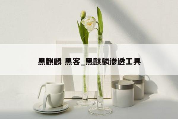 黑麒麟 黑客_黑麒麟渗透工具