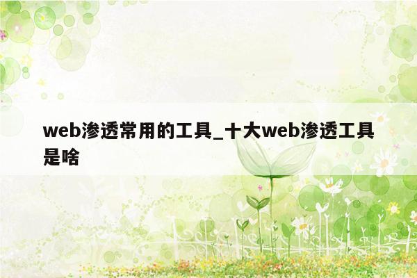 web渗透常用的工具_十大web渗透工具是啥