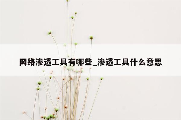 网络渗透工具有哪些_渗透工具什么意思