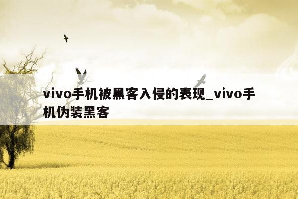 vivo手机被黑客入侵的表现_vivo手机伪装黑客