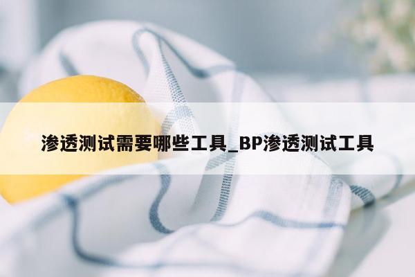 渗透测试需要哪些工具_BP渗透测试工具