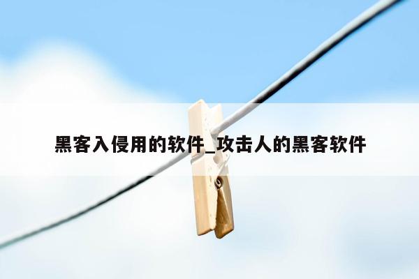 黑客入侵用的软件_攻击人的黑客软件