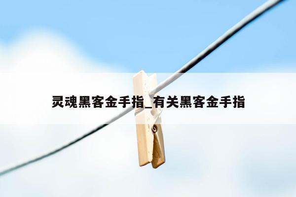 灵魂黑客金手指_有关黑客金手指